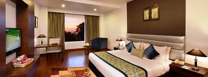 1020/MB Greens Clarks Inn - Moradabad 07.jpg